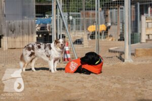 Hutamix-25-10-w06-050