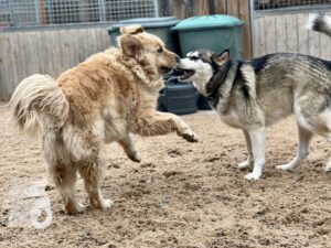 Hutamix-25-10-w06-050