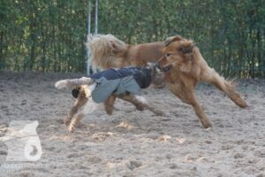 Hutamix-25-10-w06-051