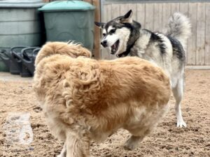 Hutamix-25-10-w06-051