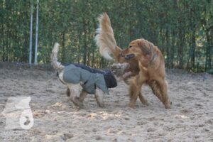 Hutamix-25-10-w06-052