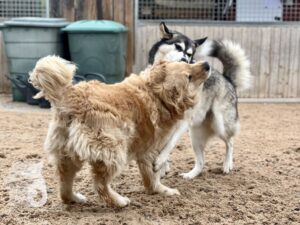 Hutamix-25-10-w06-052