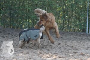 Hutamix-25-10-w06-053