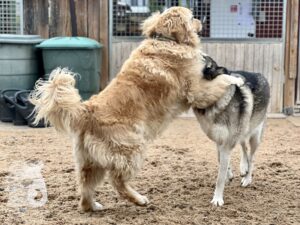 Hutamix-25-10-w06-053