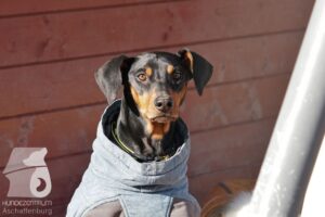 Hutamix-25-10-w06-054