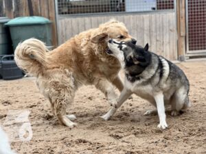 Hutamix-25-10-w06-054