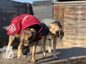 Hutamix-25-10-w06-055