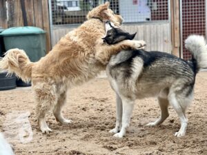 Hutamix-25-10-w06-055