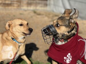 Hutamix-25-10-w06-056