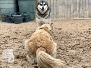 Hutamix-25-10-w06-056