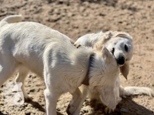 Hutamix-25-10-w06-057