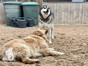 Hutamix-25-10-w06-057