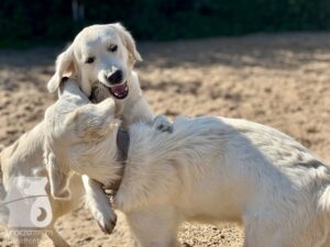 Hutamix-25-10-w06-058