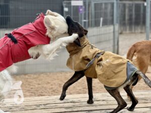 Hutamix-25-10-w06-058