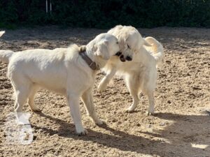 Hutamix-25-10-w06-059