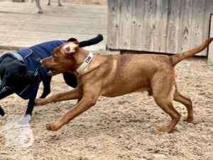 Hutamix-25-10-w06-059