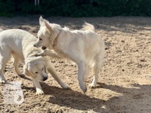 Hutamix-25-10-w06-060