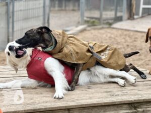 Hutamix-25-10-w06-060