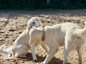 Hutamix-25-10-w06-061