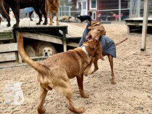 Hutamix-25-10-w06-061