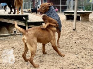 Hutamix-25-10-w06-062