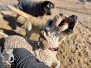 Hutamix-25-10-w06-062