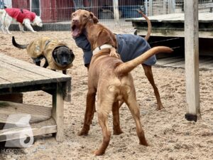 Hutamix-25-10-w06-063