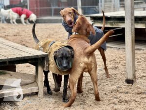 Hutamix-25-10-w06-064