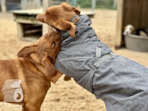 Hutamix-25-10-w06-065