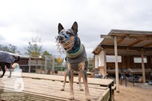 Hutamix-25-11-w03-001