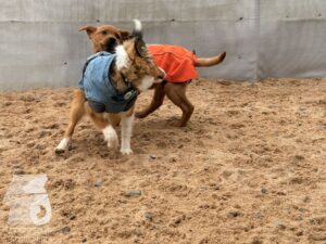 Hutamix-25-11-w03-002