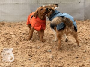 Hutamix-25-11-w03-003