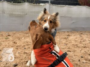 Hutamix-25-11-w03-004