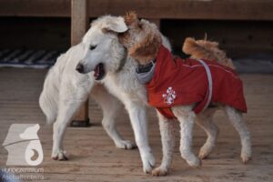 Hutamix-25-11-w03-005