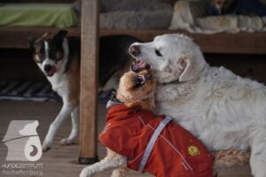 Hutamix-25-11-w03-006