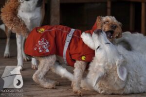 Hutamix-25-11-w03-007