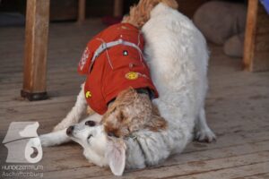 Hutamix-25-11-w03-008