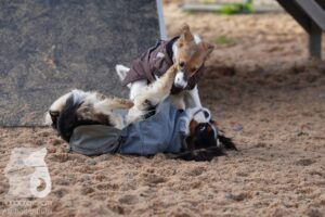 Hutamix-25-11-w03-009