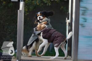 Hutamix-25-11-w03-010