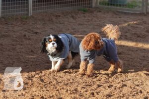 Hutamix-25-11-w03-011