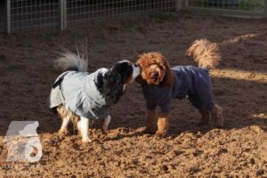 Hutamix-25-11-w03-012