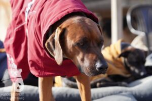 Hutamix-25-11-w03-013