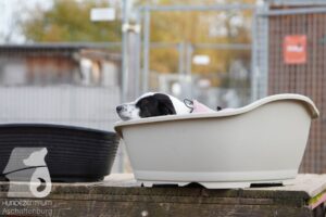 Hutamix-25-11-w03-014