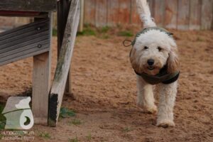 Hutamix-25-11-w03-015