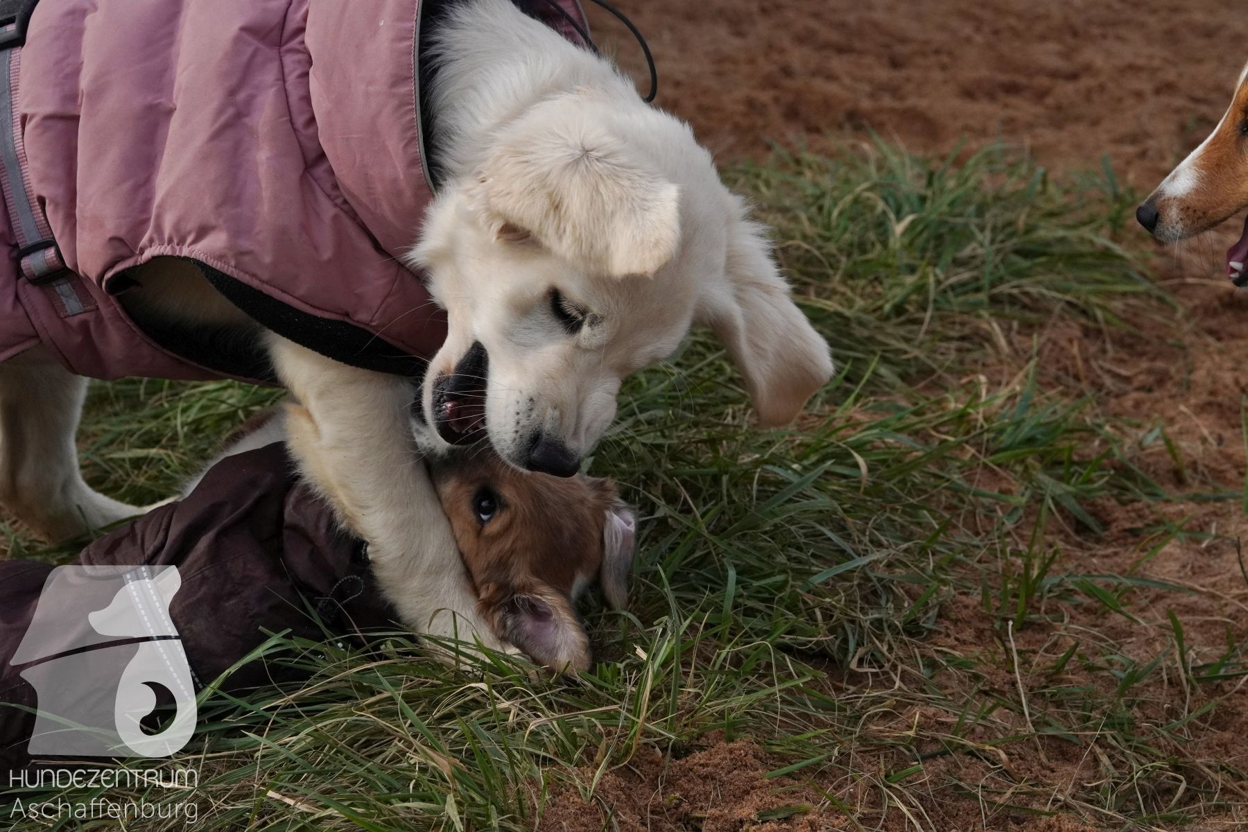 Hutamix-25-11-w03-016