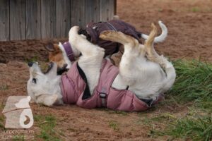 Hutamix-25-11-w03-017