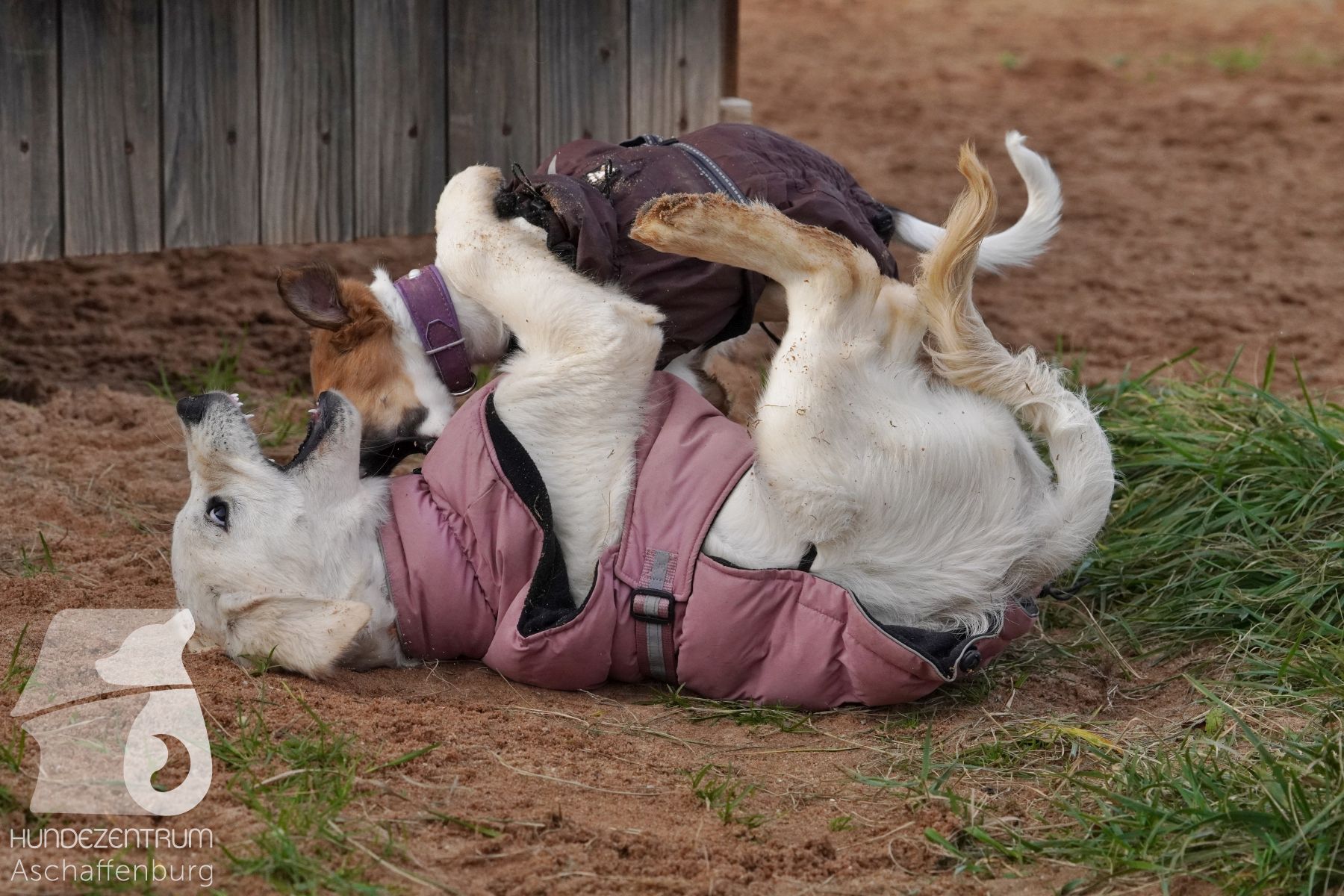 Hutamix-25-11-w03-017