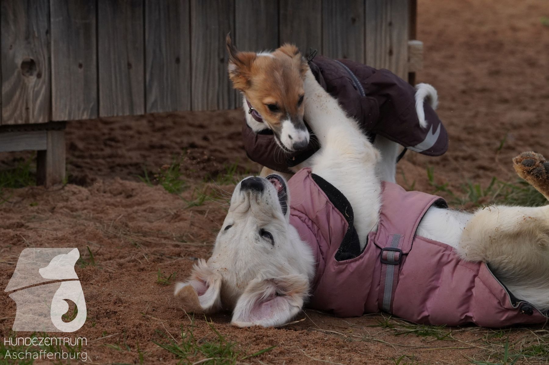 Hutamix-25-11-w03-018