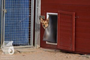 Hutamix-25-11-w03-019