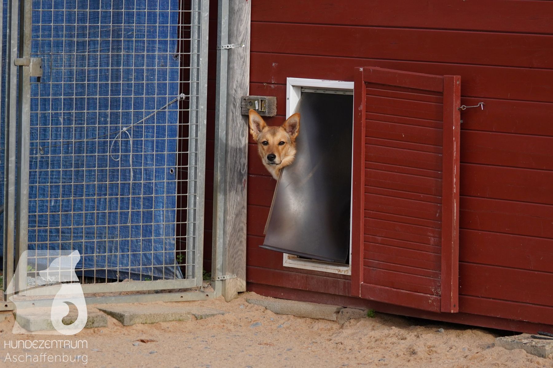 Hutamix-25-11-w03-019